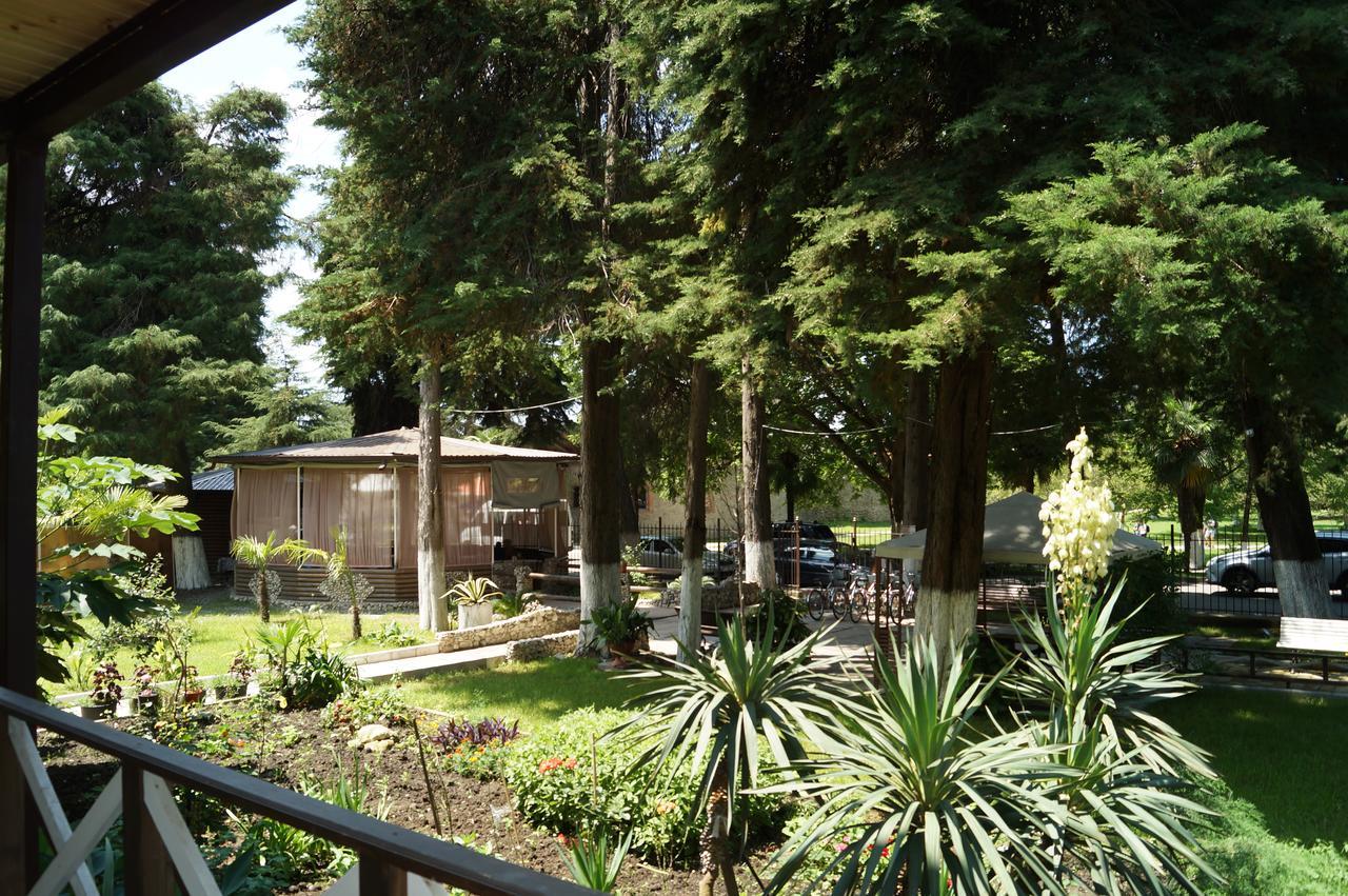 Pitsunda Hotel Extérieur photo